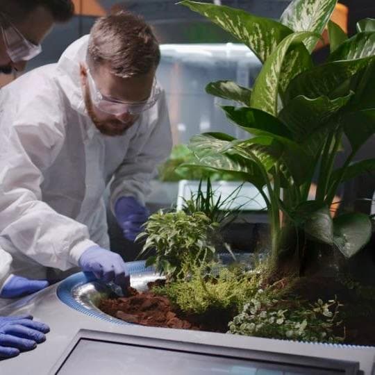 Astrobiology and Terraforming
